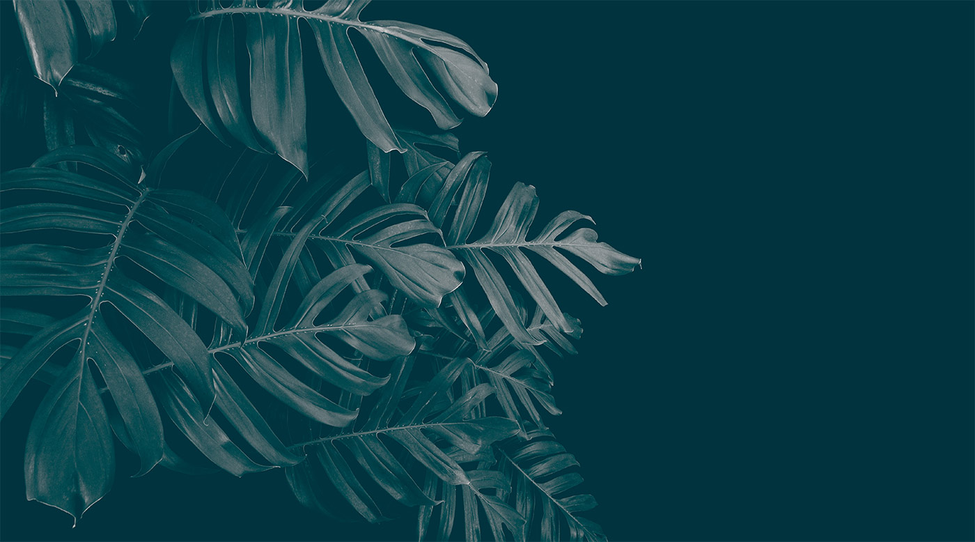 parallax background