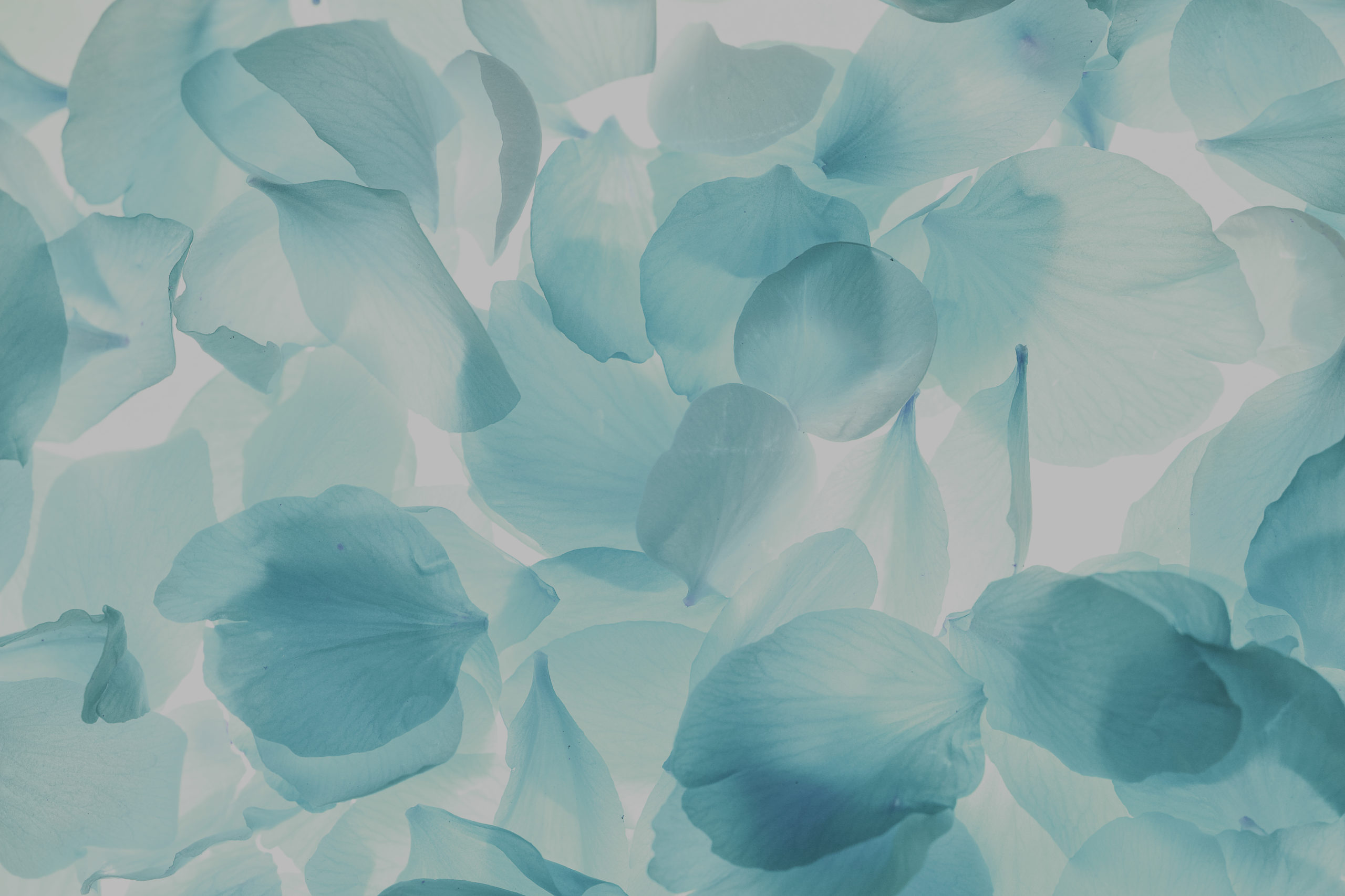 parallax background