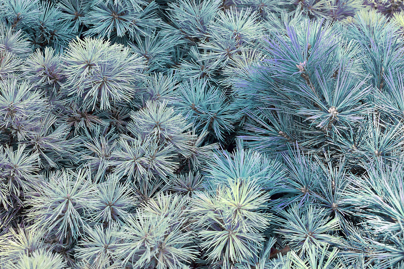 parallax background