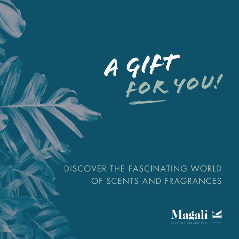 gift certificate for an olfactive or perfume-making workshop
